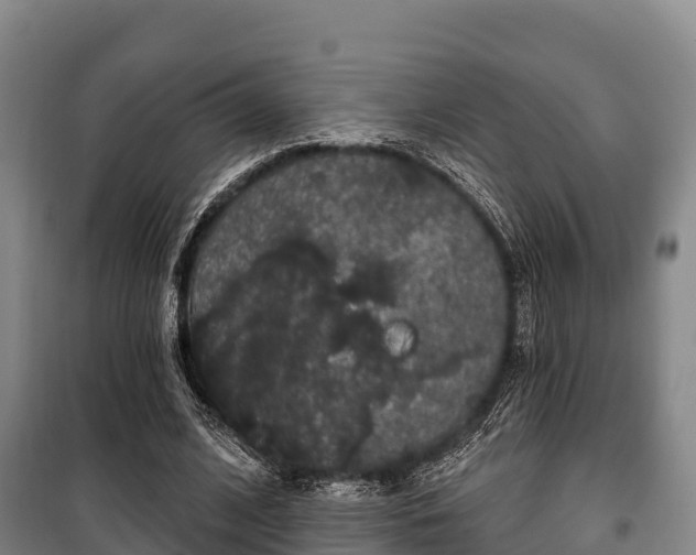 X0000100200584200806061324