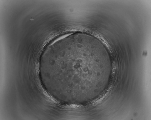 X0000100200585200806061324