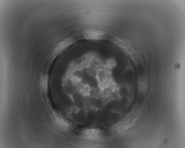 X0000100200586200806061324