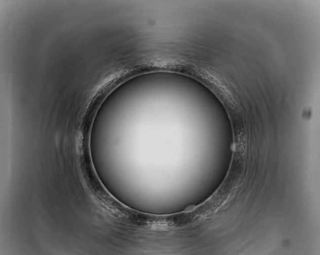 X0000100200587200806061324