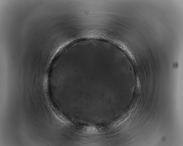 X0000100200588200806061324