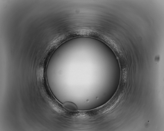 X0000100200589200806061324