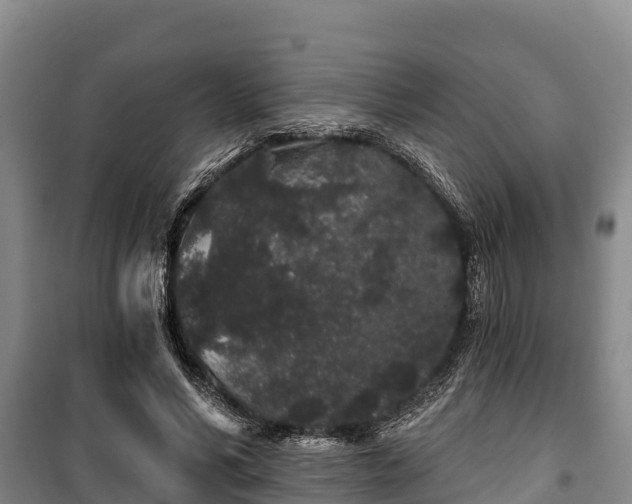 X0000100200590200806061324