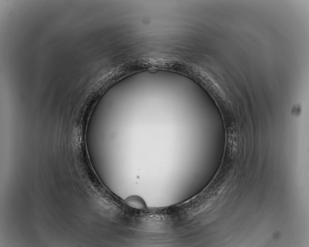 X0000100200593200806061324