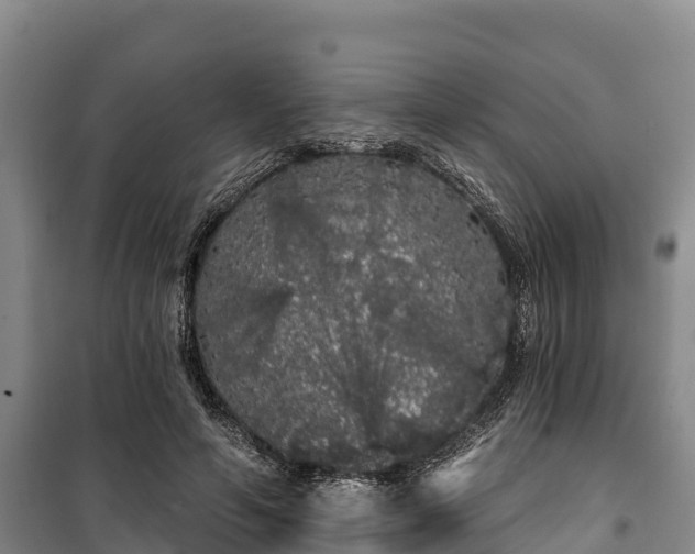 X0000100200594200806061324
