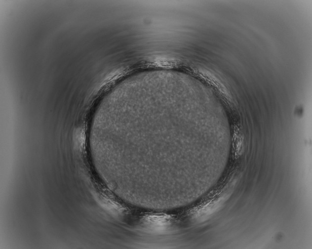 X0000100200595200806061324