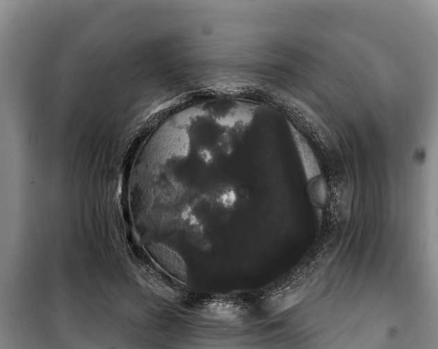 X0000100200596200806061324