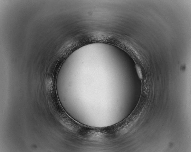 X0000100200597200806061324