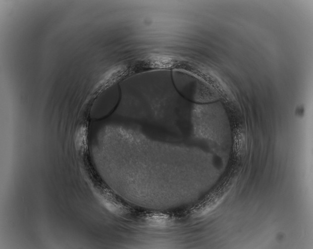 X0000100200598200806061324