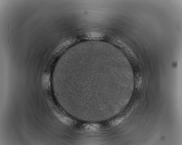 X0000100200599200806061324