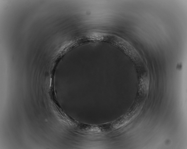 X0000100200600200806061324