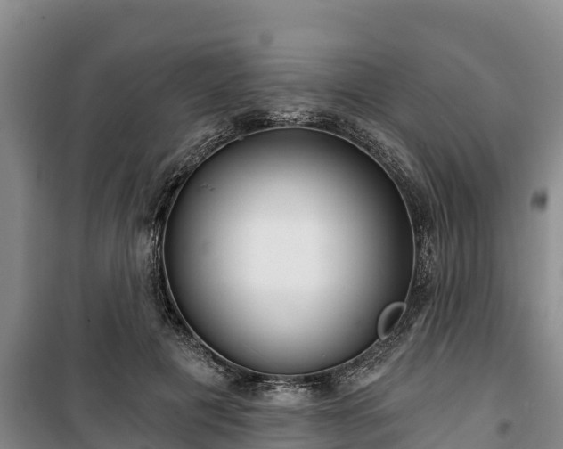 X0000100200601200806061324