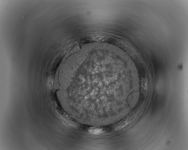 X0000100200602200806061324