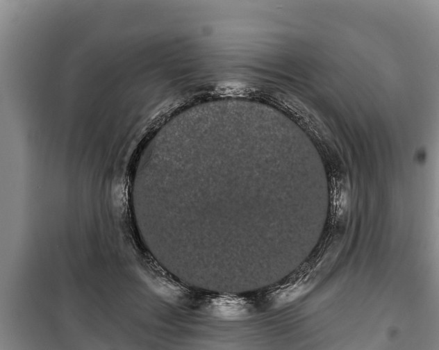 X0000100200603200806061324