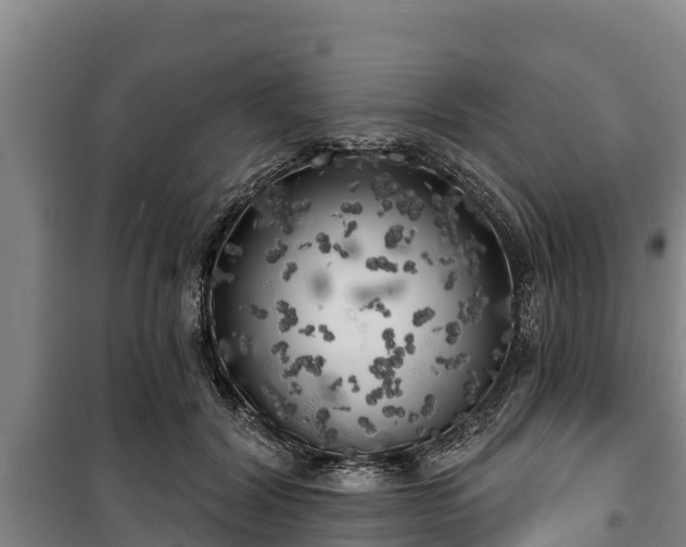 X0000100200604200806061324