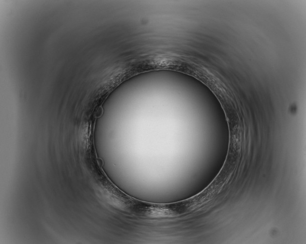 X0000100200605200806061324