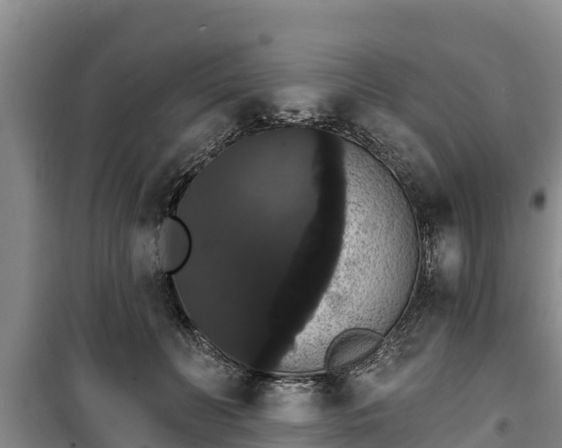 X0000100200606200806061324