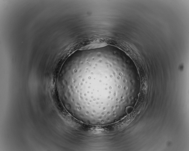 X0000100200607200806061324