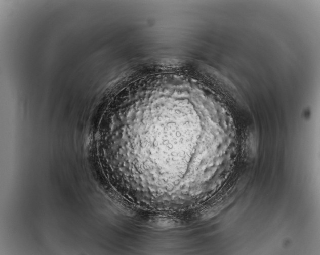 X0000100200608200806061324