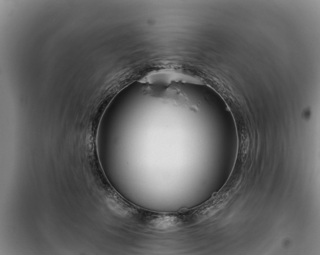 X0000100200609200806061324