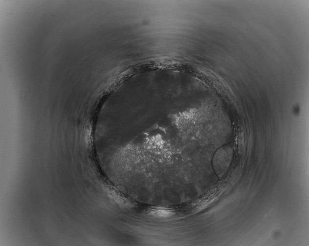 X0000100200610200806061324