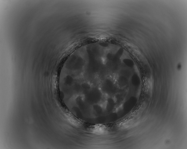 X0000100200612200806061324