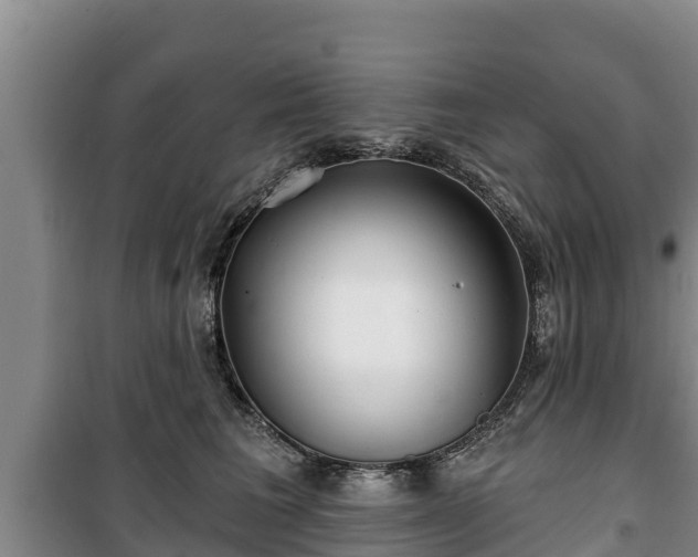 X0000100200613200806061324