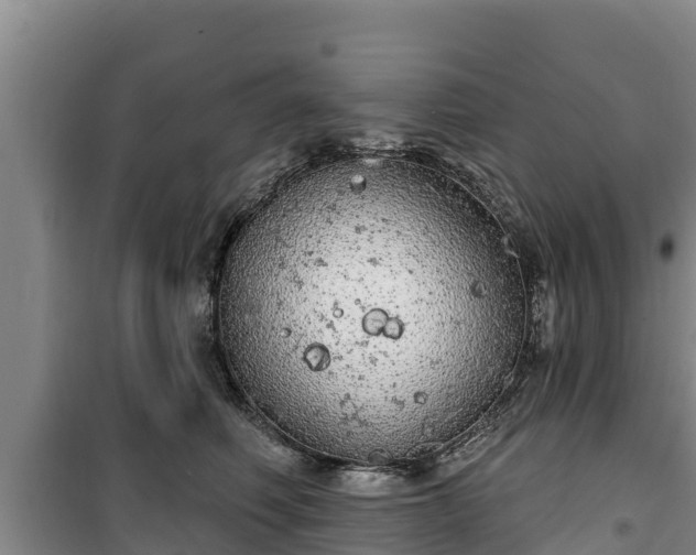 X0000100200614200806061324