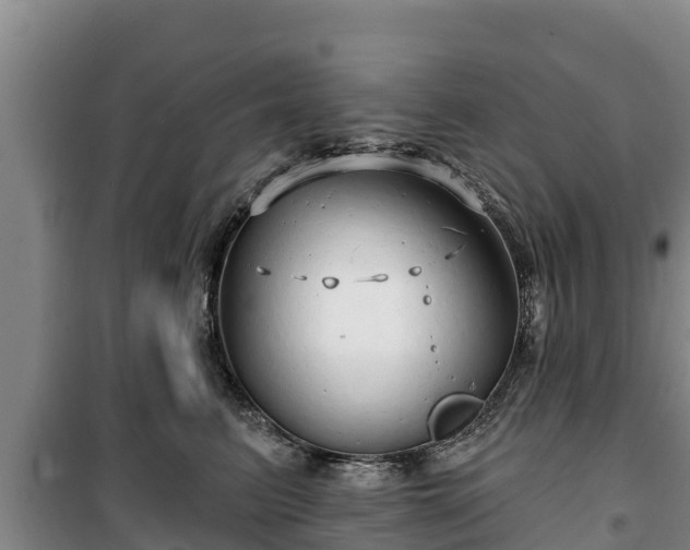 X0000100200615200806061324