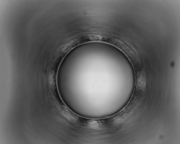 X0000100200616200806061324