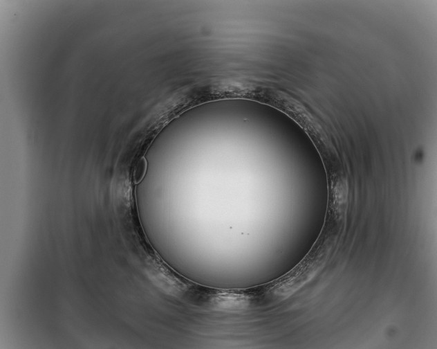 X0000100200617200806061324