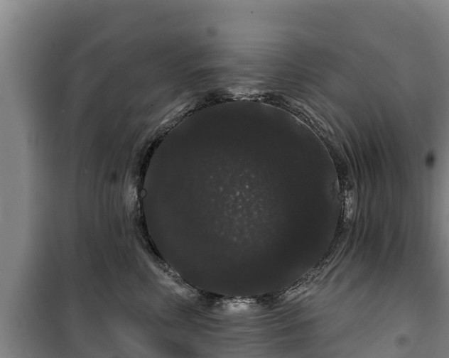 X0000100200618200806061324