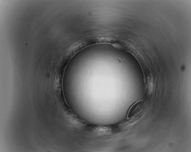 X0000100200619200806061324