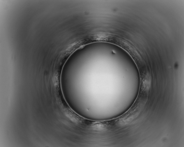 X0000100200620200806061324