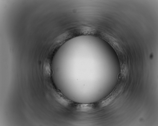 X0000100200622200806061324