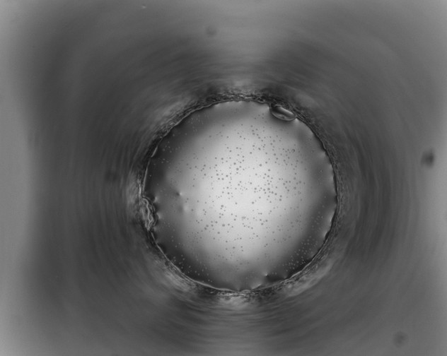 X0000100200624200806061324