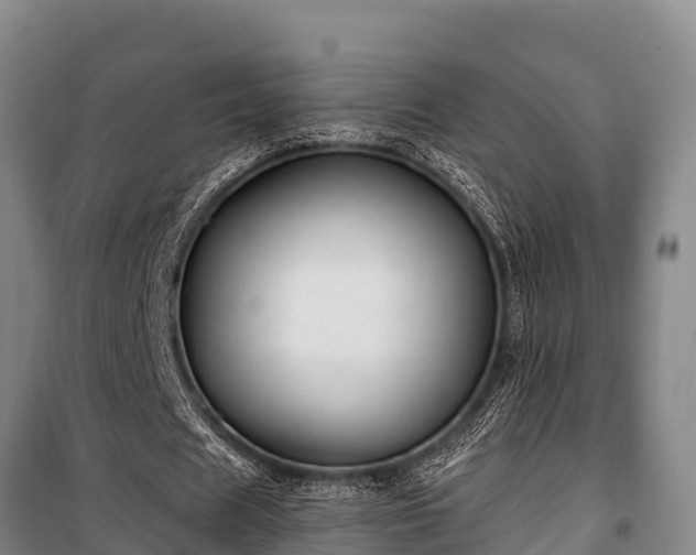 X0000100200625200806061323