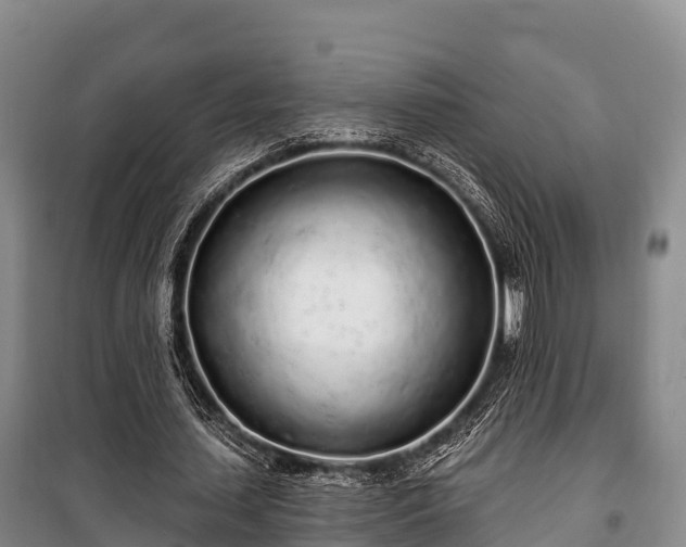 X0000100200627200806061323