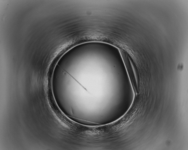 X0000100200630200806061323