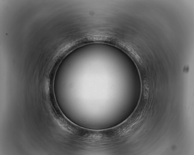 X0000100200631200806061323