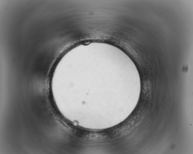 X0000100200632200806061323