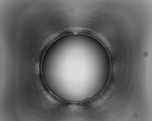 X0000100200633200806061323