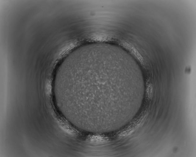 X0000100200635200806061323