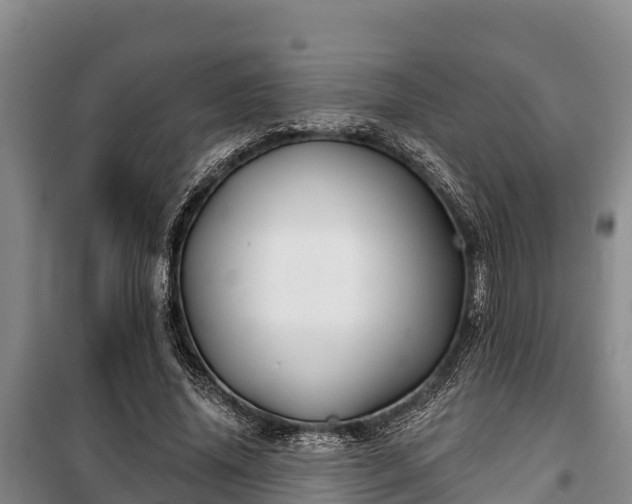 X0000100200636200806061323