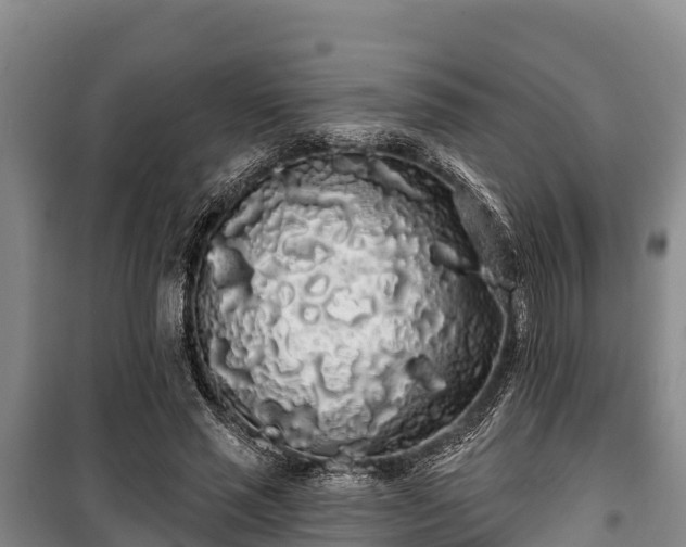 X0000100200637200806061323