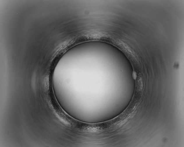 X0000100200638200806061323