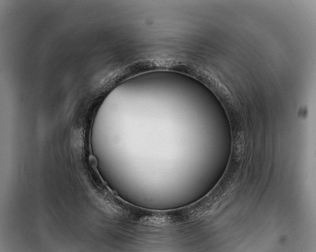 X0000100200639200806061323