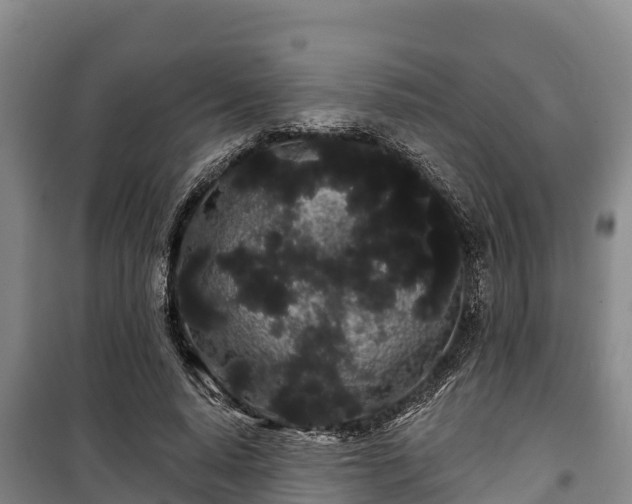 X0000100200640200806061323