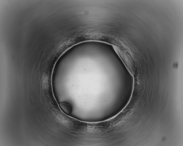 X0000100200641200806061323