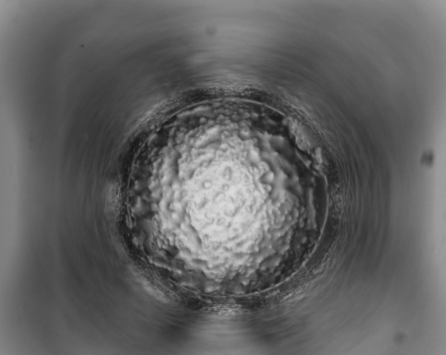 X0000100200642200806061323